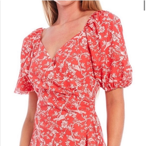 Sachin & Babi 12 Floral Bird Print Ruffles Anthropologie Feminine - Picture 6 of 16